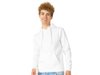Толстовка с капюшоном «Amsterdam» мужская