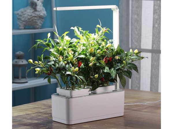 Компактный смарт-сад «iGarden LED» с подсветкой - Компактный смарт-сад «iGarden LED» с подсветкой