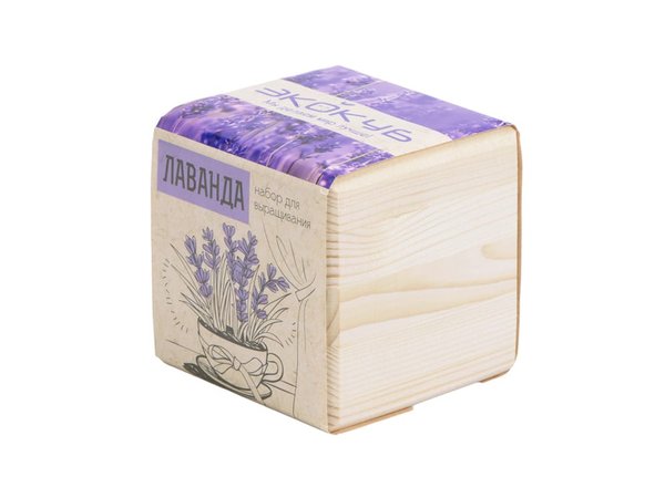 Набор для выращивания «Лаванда» - Набор для выращивания «Лаванда»