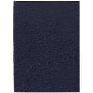 ежедневник flat light, недатированный, иссиня-черный