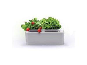 компактный смарт-сад «igarden»