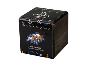 набор для выращивания «small village cube «ель голубая»