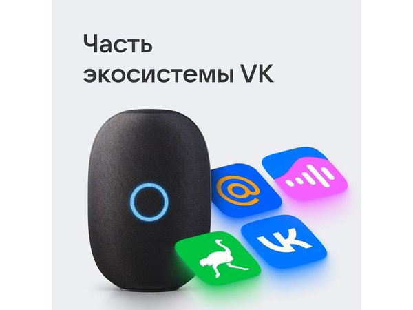 Умная колонка VK «Капсула» с голосовым помощником Марусей, 30 Вт - Умная колонка VK «Капсула» с голосовым помощником Марусей, 30 Вт