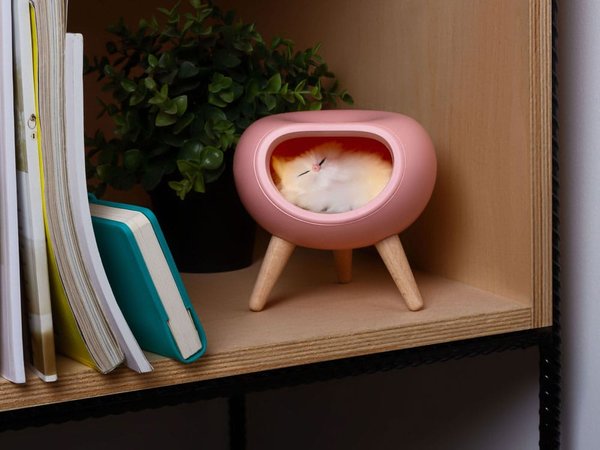 Ночник LED «Koko» - Ночник LED «Koko»