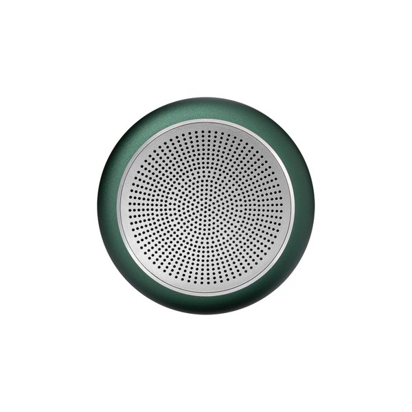 Беспроводная колонка Пэшн (Passion) 80dB 600 mAh (Bluetooth 5.4), зеленая