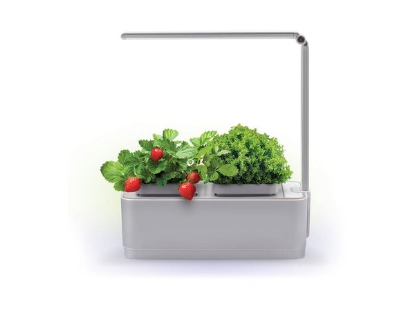 Компактный смарт-сад «iGarden LED» с подсветкой - Компактный смарт-сад «iGarden LED» с подсветкой