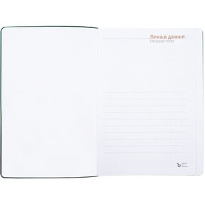 ежедневник flexpen color, датированный, зеленый