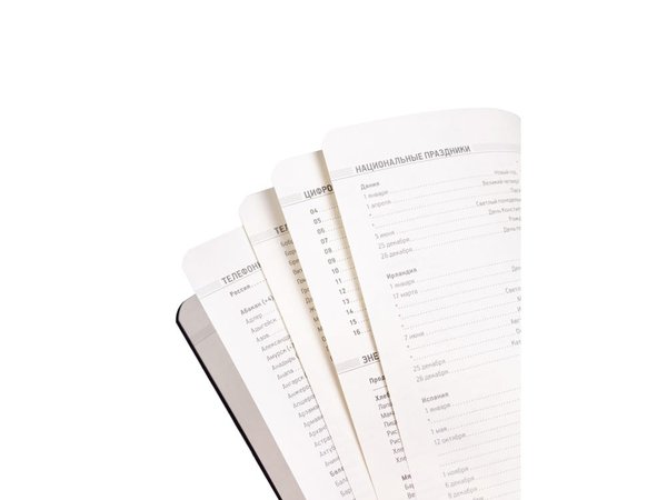 Ежедневник недатированный А5 «Megapolis Velvet Flex» - Ежедневник недатированный А5 «Megapolis Velvet Flex»