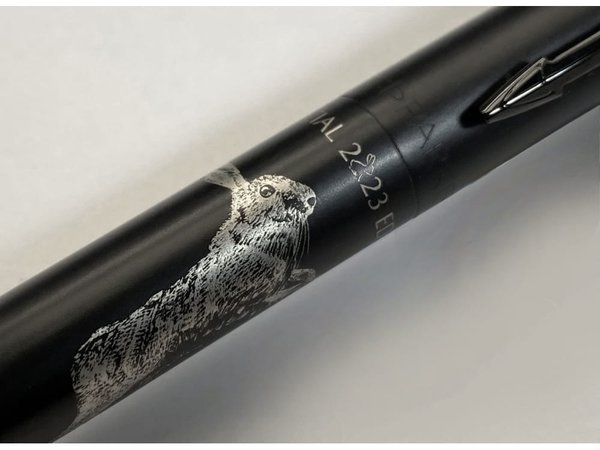 Ручка шариковая Parker Jotter XL - Ручка шариковая Parker Jotter XL