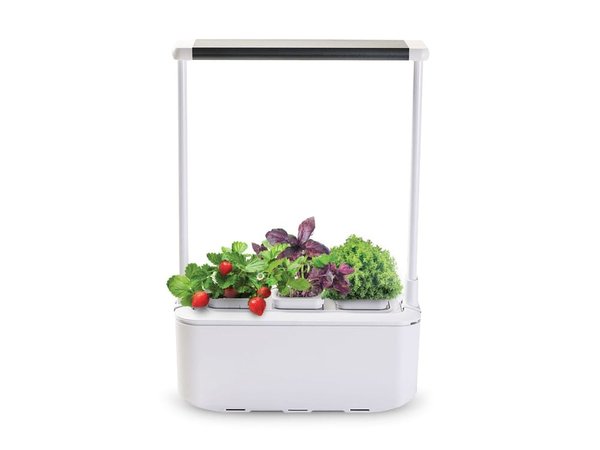 Компактный смарт-сад «iGarden PRO» с подсветкой - Компактный смарт-сад «iGarden PRO» с подсветкой