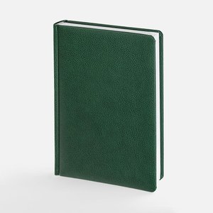 ежедневник sagrin, недатированный, зеленый