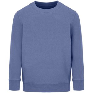 свитшот детский columbia kids, синий
