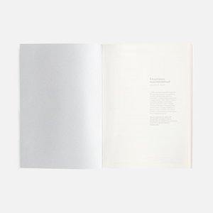 ежедневник repute, недатированный, серый