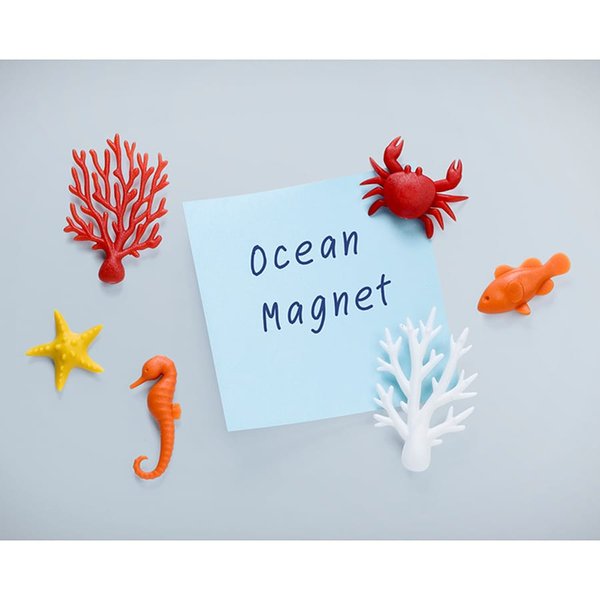Набор магнитов Тропики - Магниты Ocean Ecology