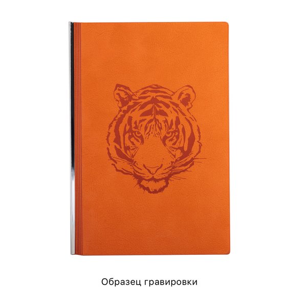 Ежедневник недатированный "Аскона", формат А5 - Ежедневник недатированный "Аскона", формат А5 оранжевый