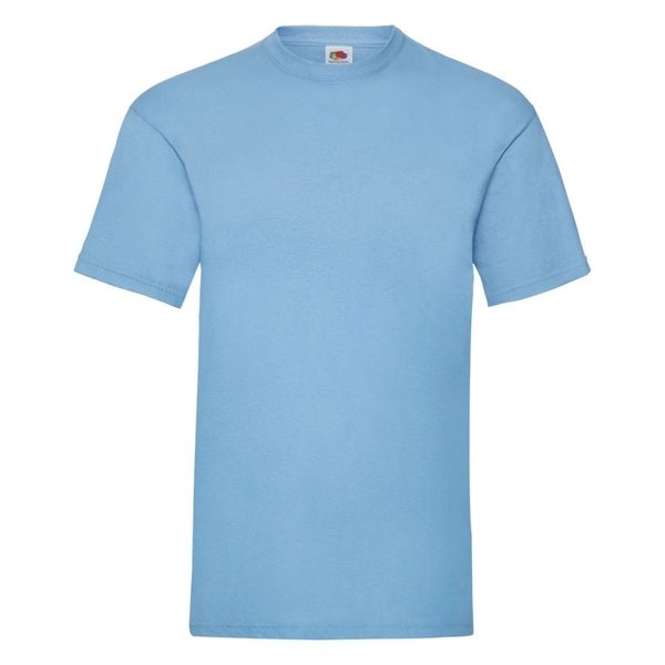 Футболка мужская VALUEWEIGHT T 160 - Футболка мужская VALUEWEIGHT T 165, небесно-голубой_XL, 100% хлопок