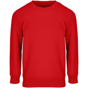 свитшот детский columbia kids, красный