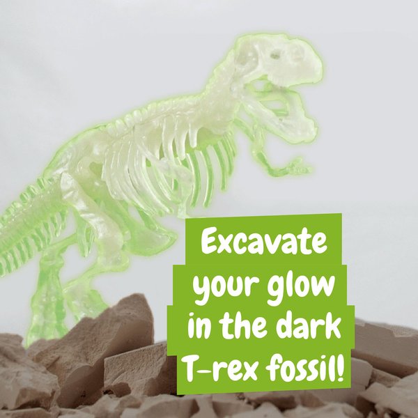 Fossil Excavation Kit II. Дидактическая игра поставляется с подарочным пакетом из крафт-бумаги (90 г/м²) - Fossil Excavation Kit II. Дидактическая игра поставляется с подарочным пакетом из крафт-бумаги (90 г/м²)