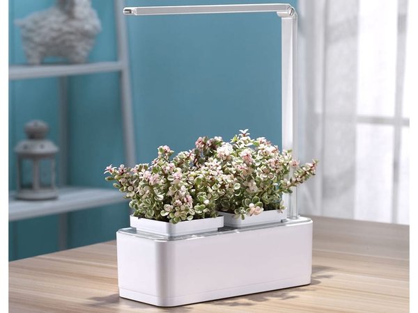 Компактный смарт-сад «iGarden LED» с подсветкой - Компактный смарт-сад «iGarden LED» с подсветкой