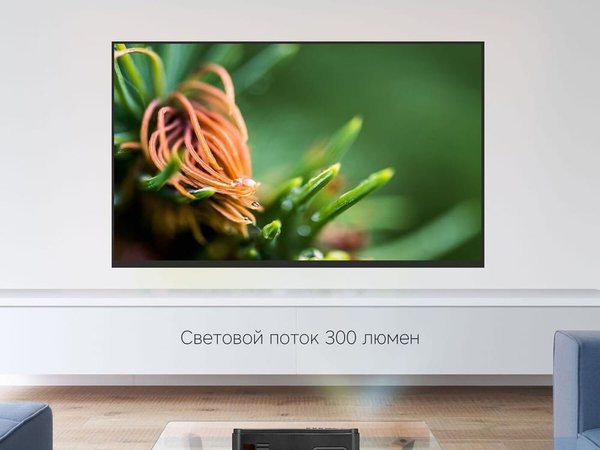 Проектор «Ray L300» - Проектор «Ray L300»