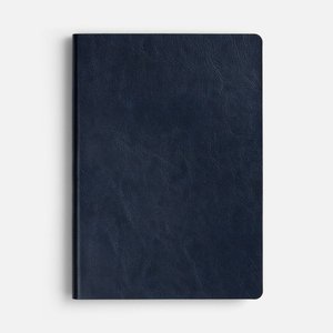 ежедневник doppio, недатированный, синий с голубым