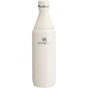 бутылка для воды stanley all day slim 600 мл