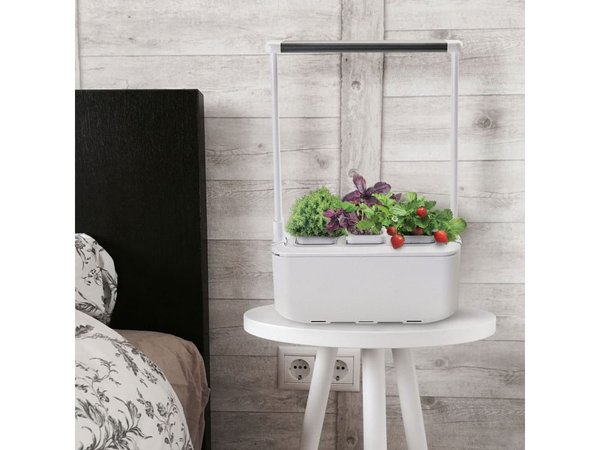 Компактный смарт-сад «iGarden PRO» с подсветкой - Компактный смарт-сад «iGarden PRO» с подсветкой