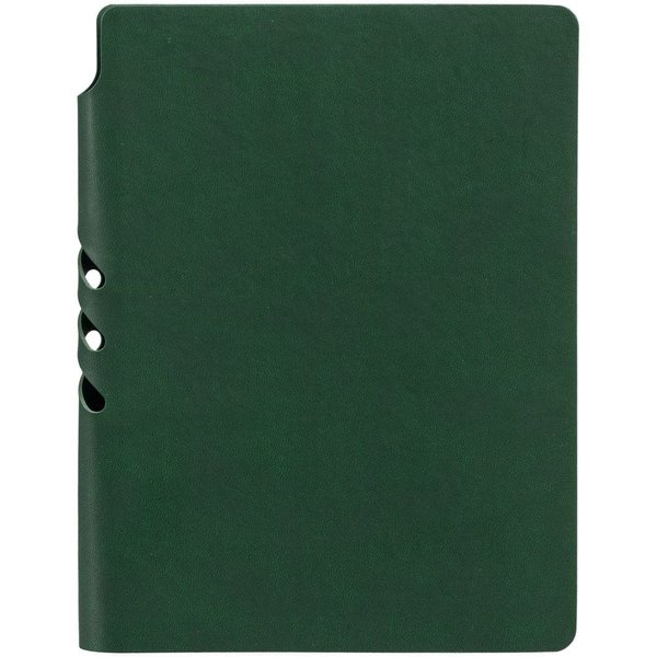 Ежедневник Flexpen Color, датированный, зеленый