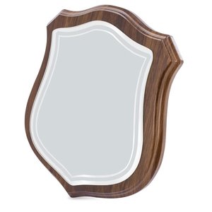 трофей "escudo"