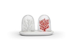 солонка и перечница coral bleaching