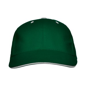 panel кепка c/bottle green