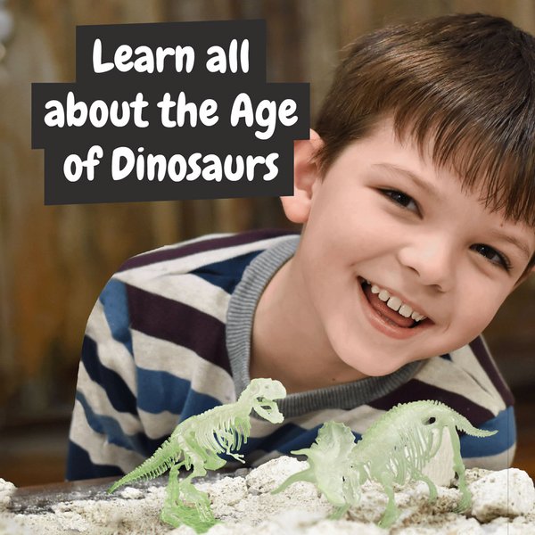 Образовательная игра 2 в 1 Fossil Excavation Kit I для детей - Образовательная игра 2 в 1 Fossil Excavation Kit I для детей