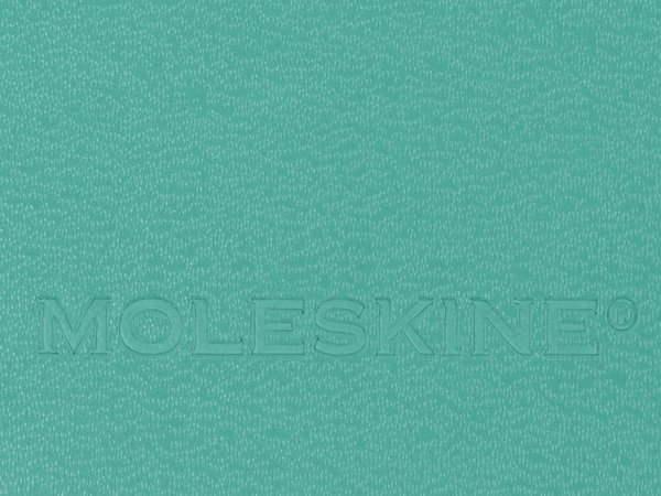 Записная книжка А5 (Large) Classic (в линейку) - Записная книжка А5 (Large) Classic (в линейку)