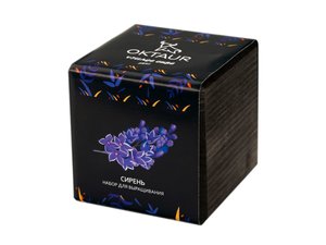 набор для выращивания «small village cube «сирень»