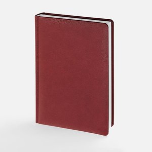 ежедневник sagrin, недатированный, красный