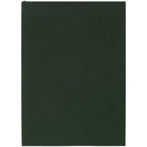 ежедневник flat light, недатированный, зеленый