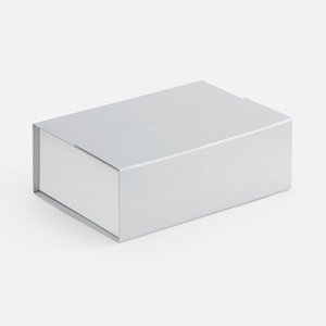 коробка bicolor case, белая с серым
