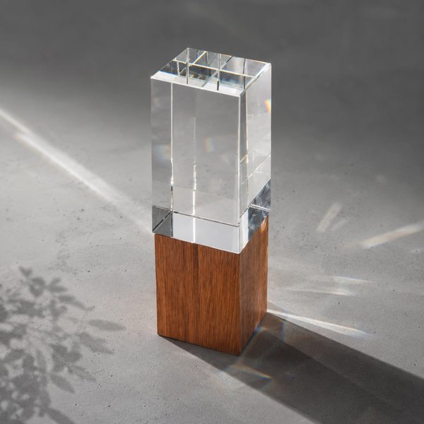 Награда «Wood and glass» - Награда «Wood and glass»