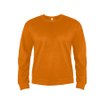 Толстовка мужская ANTARES, оранжевый, 4XL, 50 % хлопок, 50% полиэстер, 260 г/м2