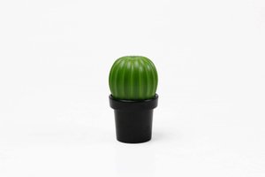 мельница для специй tasty cactus