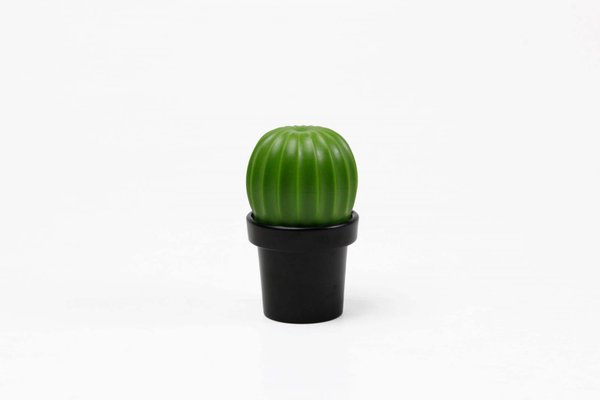 МЕЛЬНИЦА ДЛЯ СПЕЦИЙ Tasty Cactus - МЕЛЬНИЦА ДЛЯ СПЕЦИЙ Tasty Cactus