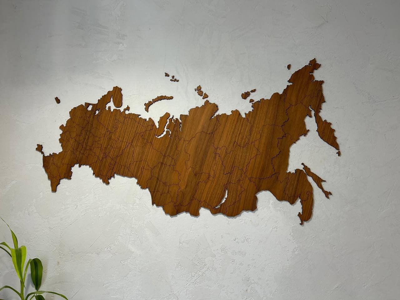 photo1717404184 (7)