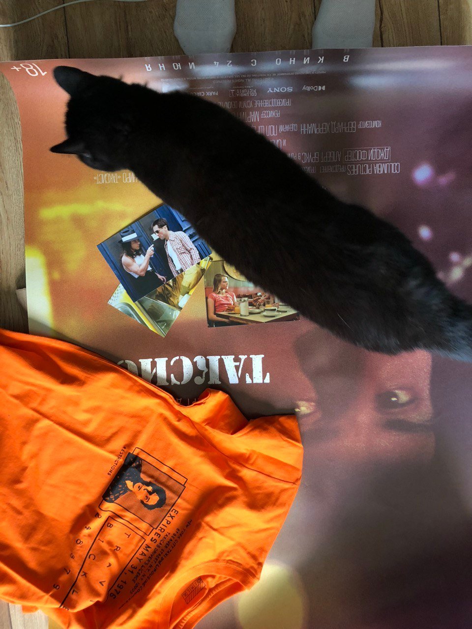 photo1717767159