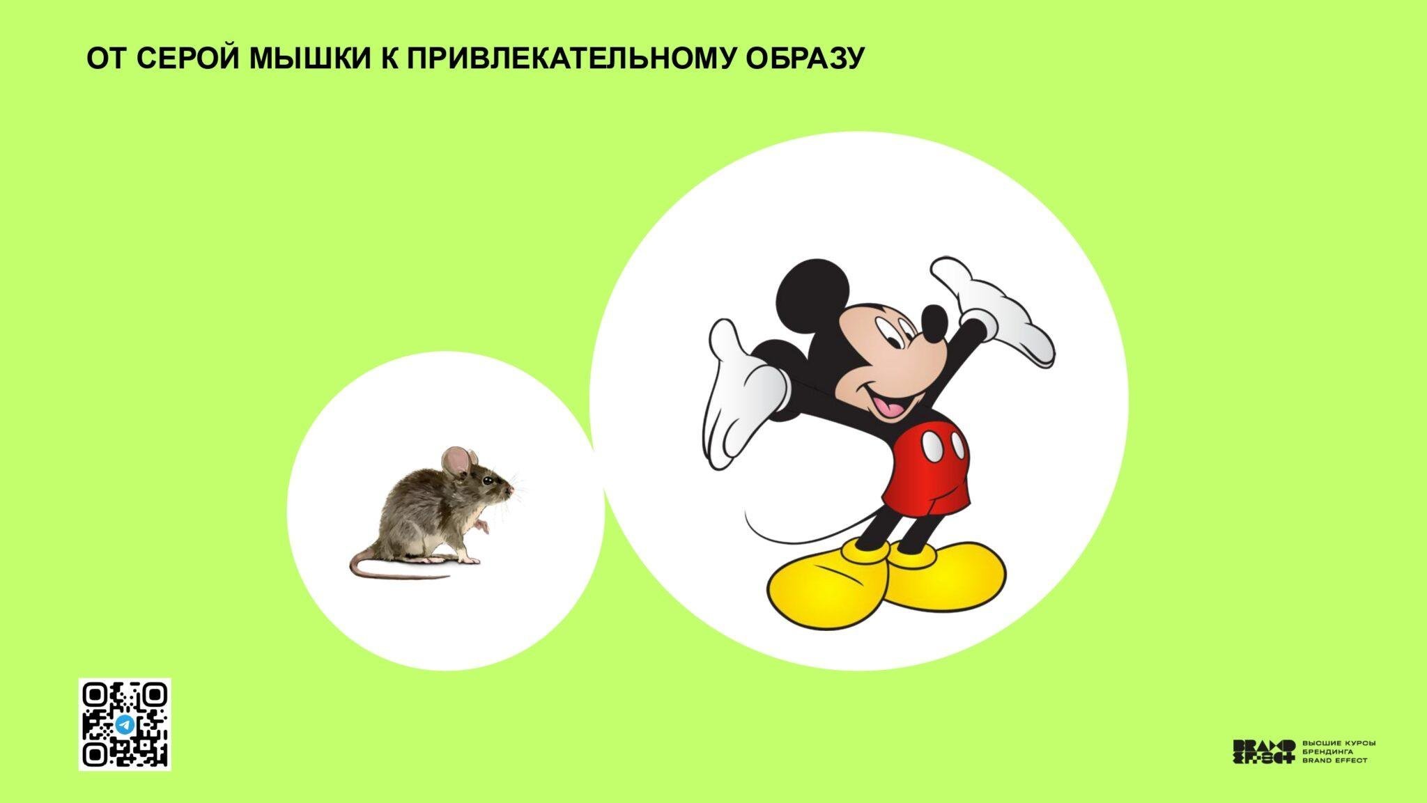 Казань_Чебоксары — копия_page-0101