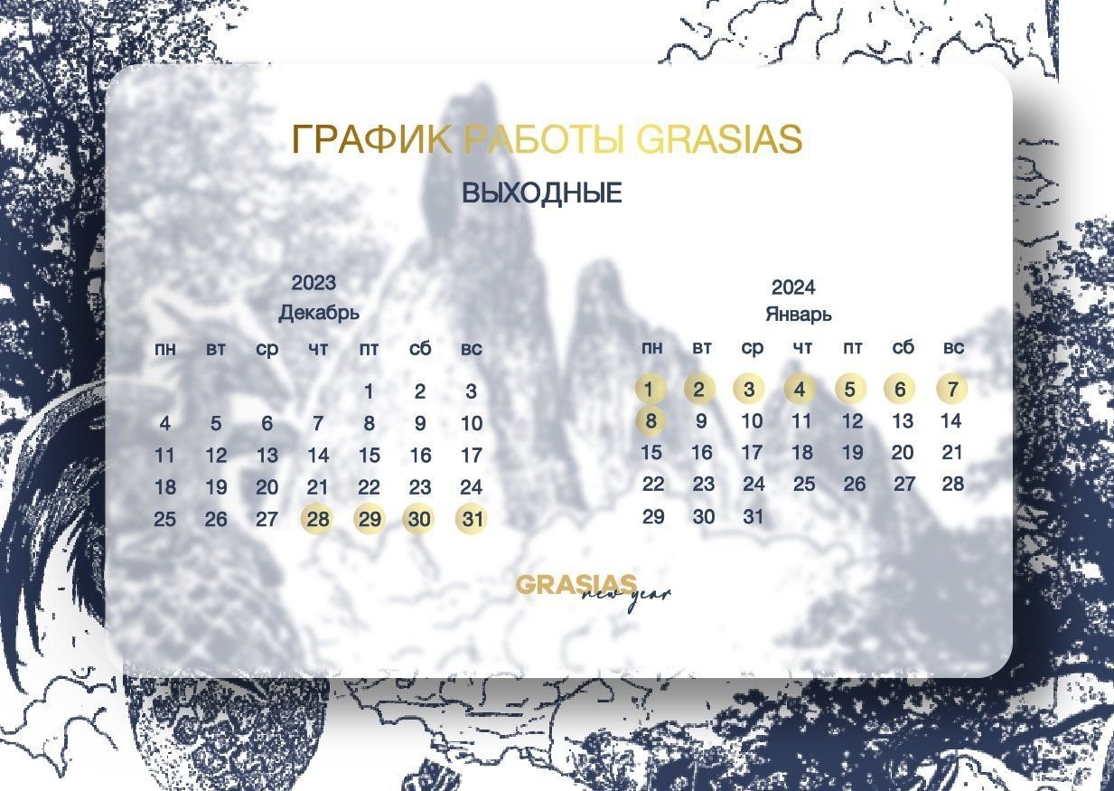 Новогодние каникулы GRASIAS