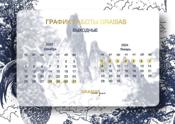 Новогодние каникулы GRASIAS