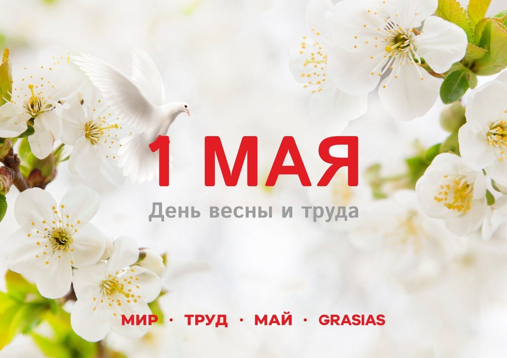 Мир! Труд! Май! Отдыхай!