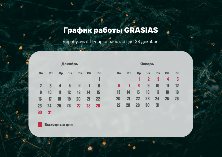 Новогодние каникулы GRASIAS